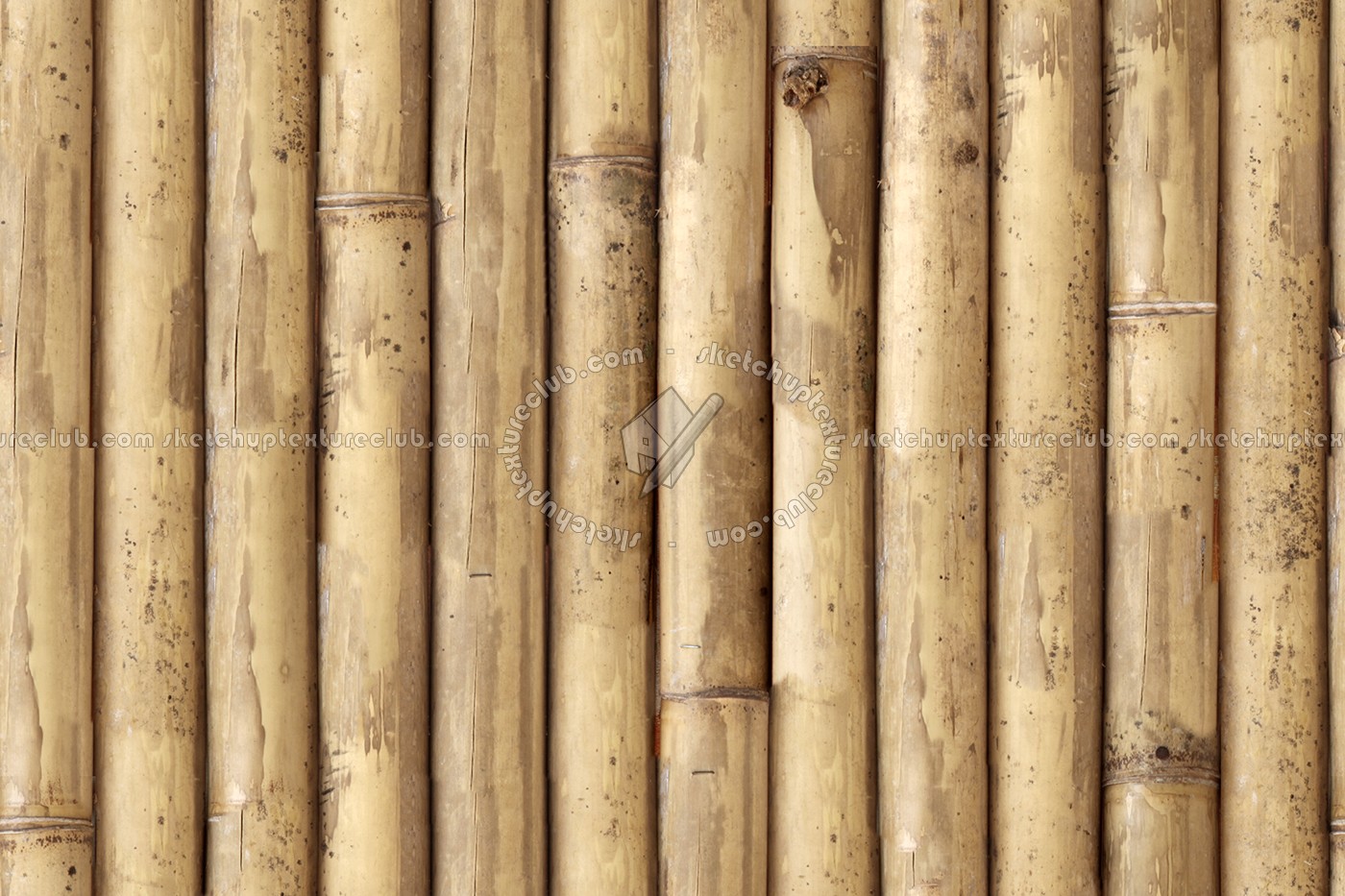 Bamboo Texture Seamless 12272 Bamboo Texture Seamless 12272