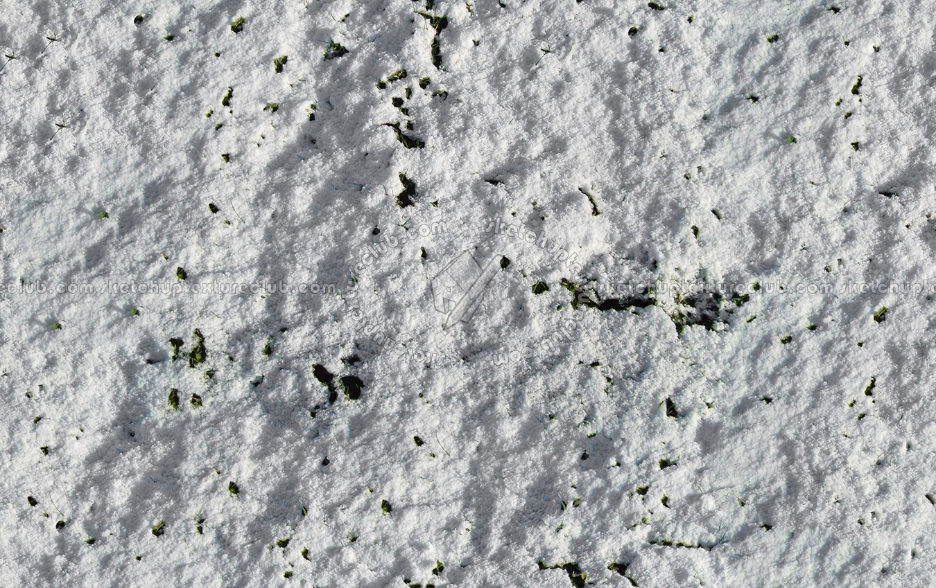 Snow with grass texture seamless 12789