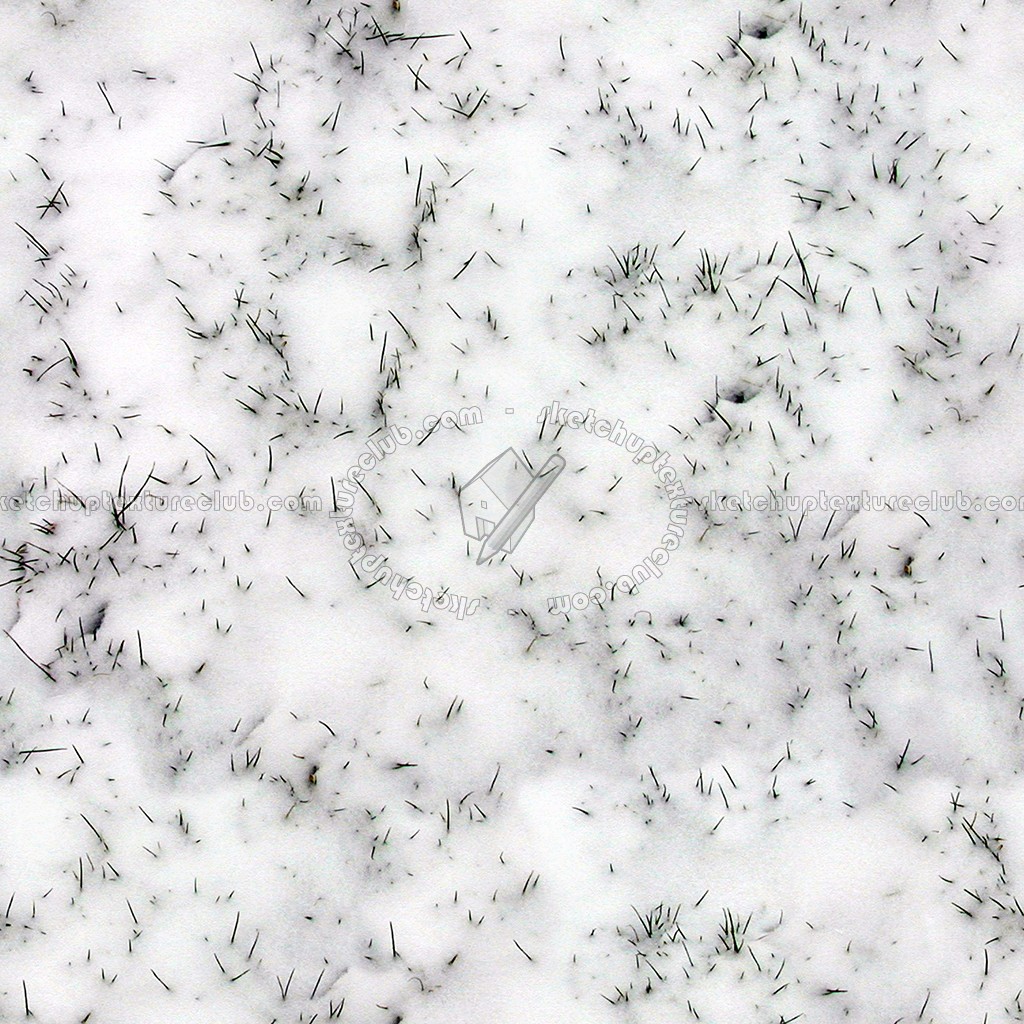 Snow with grass texture seamless 12790