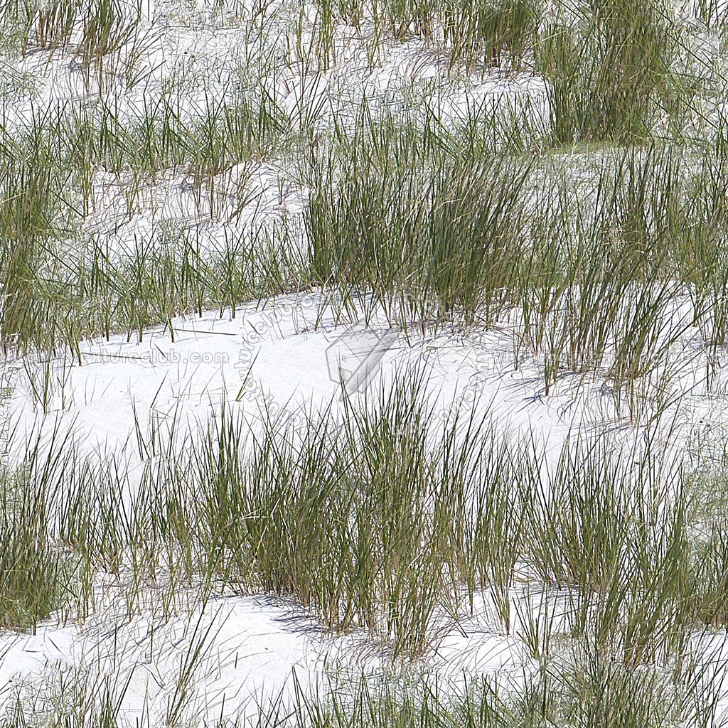 Snow with grass texture seamless 12794