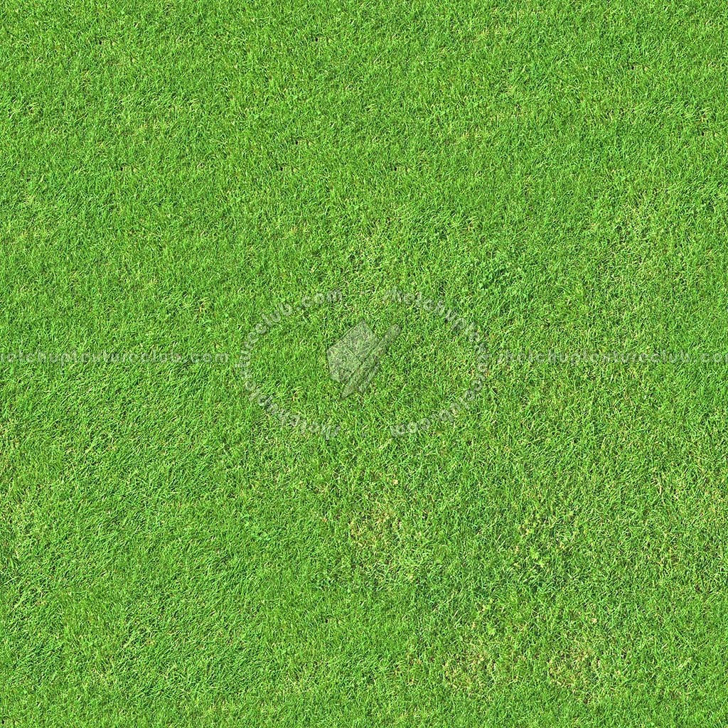 Artificial green grass texture seamless 13063