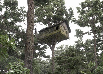 Stefano Mombelli | TREE HOUSE -  3dsMax  vray  PS view 2