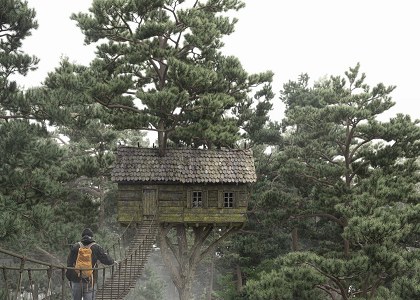 Stefano Mombelli | TREE HOUSE