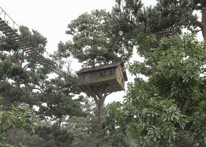 TREE HOUSE