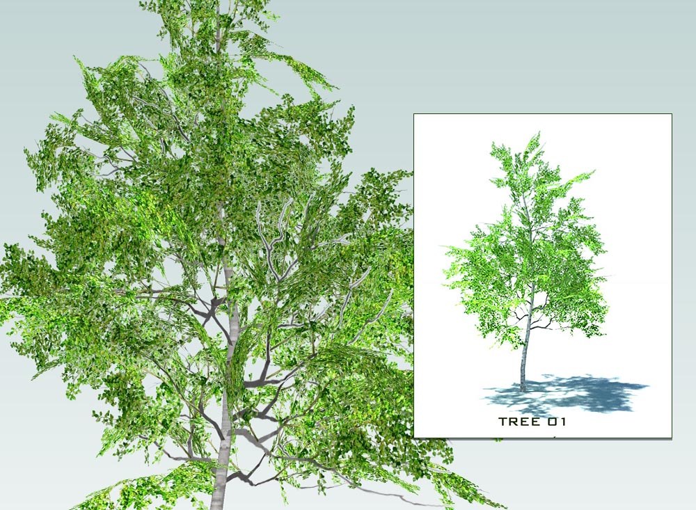 Sketchup 3D model trees collection 1