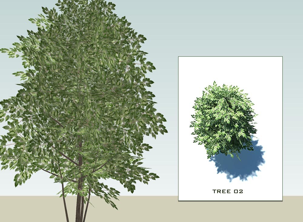 Sketchup 3D model trees collection 1