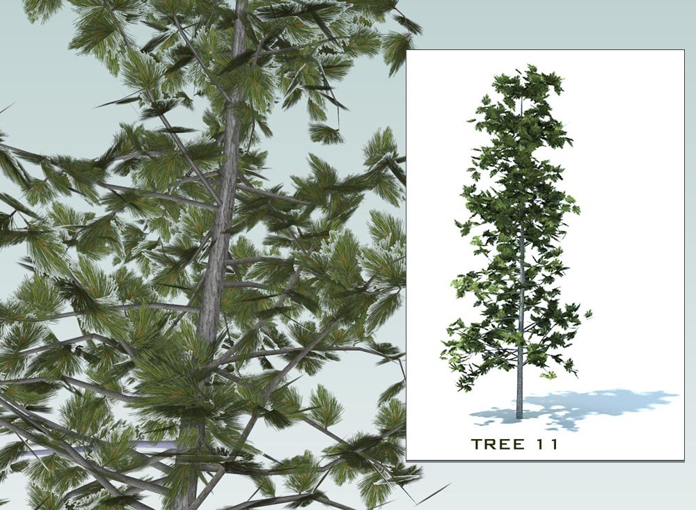 3d sketchup trees collection 2