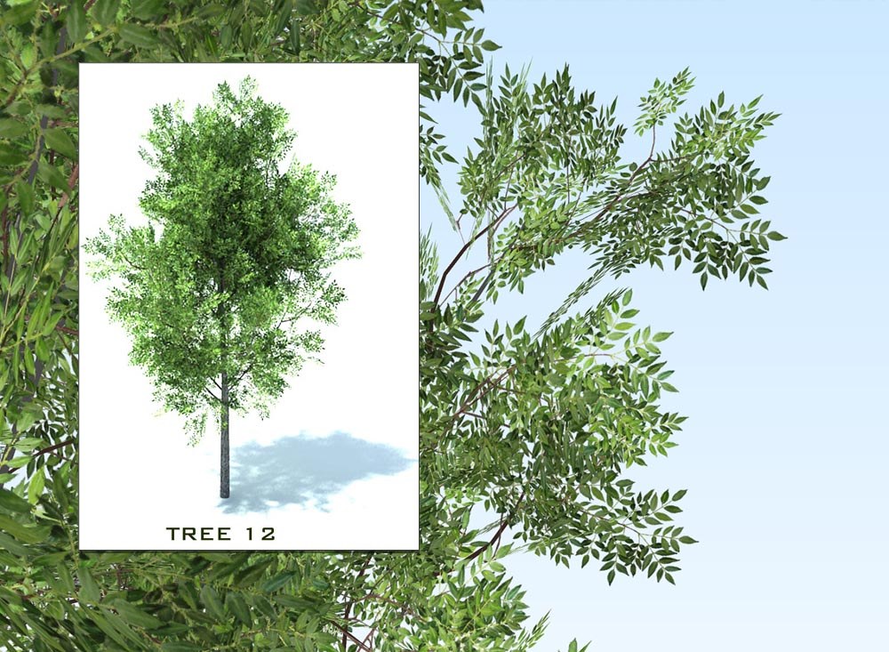 3d sketchup trees collection 2