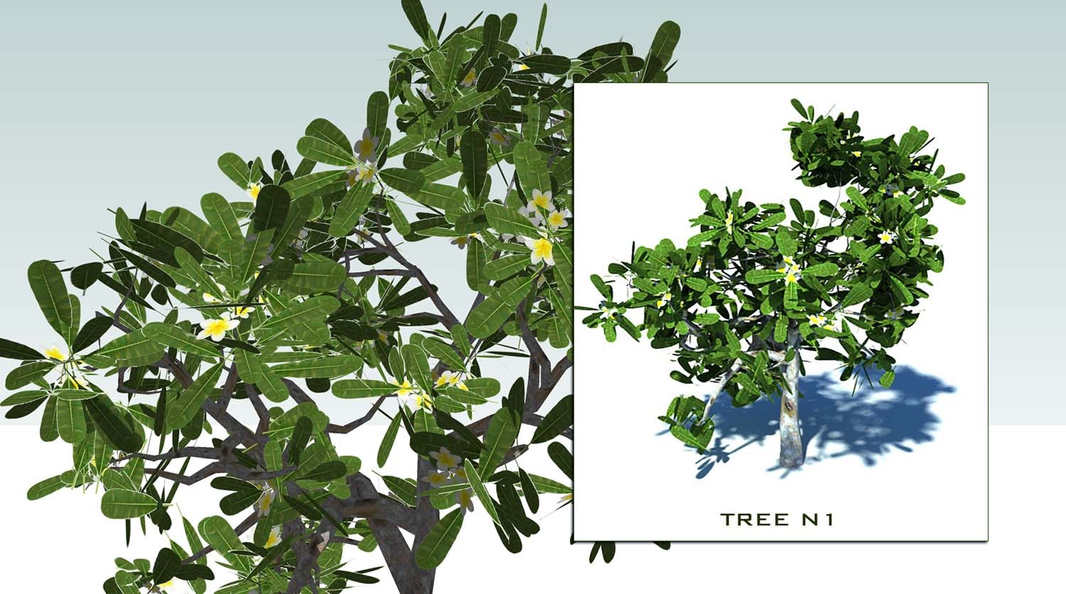 3D trees collection 4