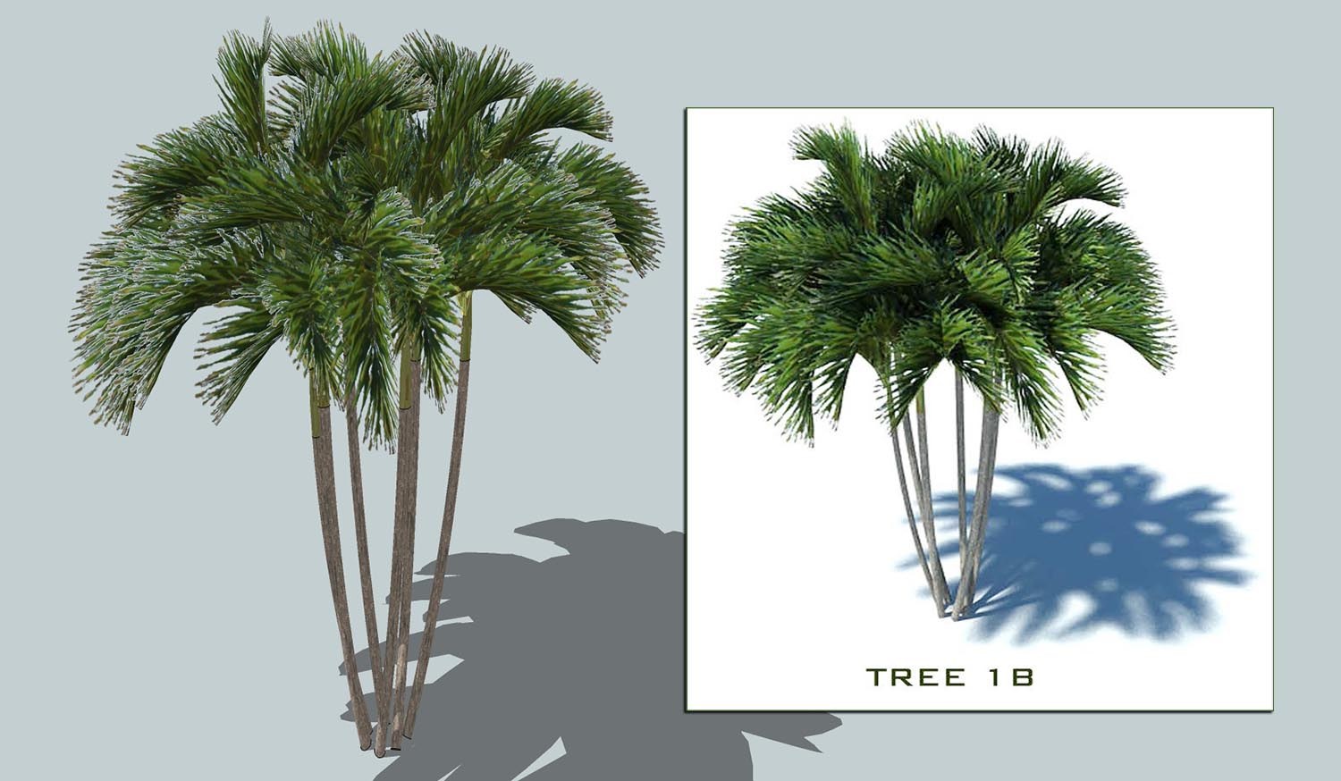 sketchup palms collection