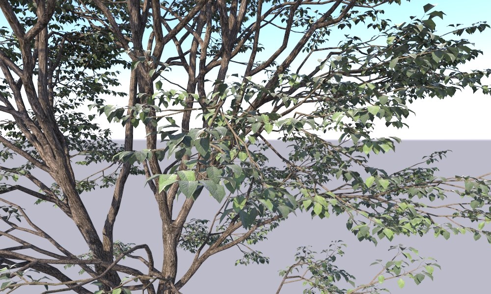 Tree Proxy Design & Visualization by Thilina Liyanage