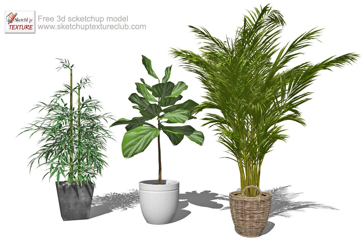 sketchup preview