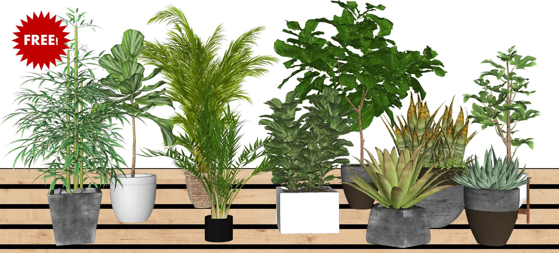 10 SketchUp 3D plants in pots collection #1