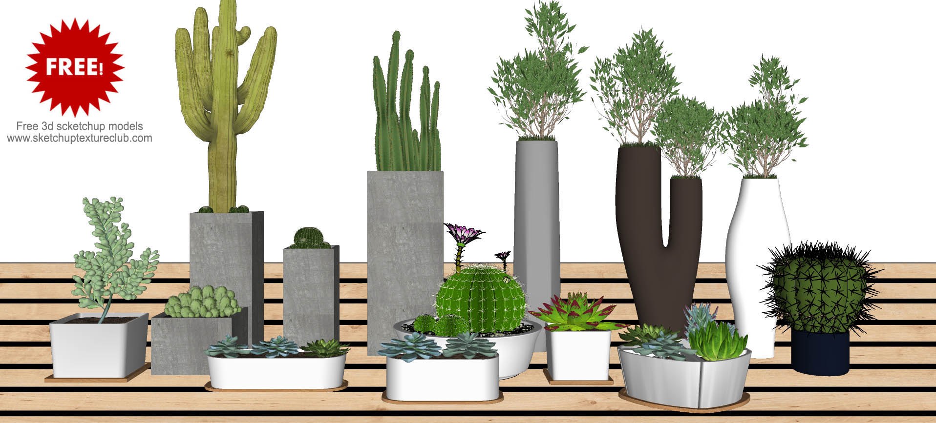 14 SketchUp 3D plants in pots collection #2