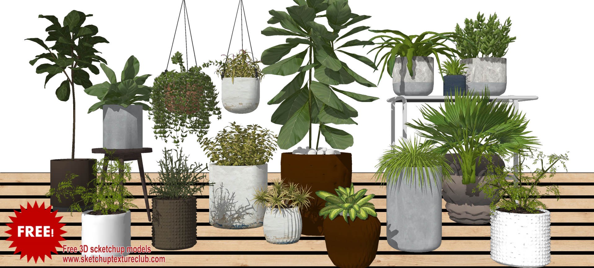 17 SketchUp 3D plants in pots collection #3