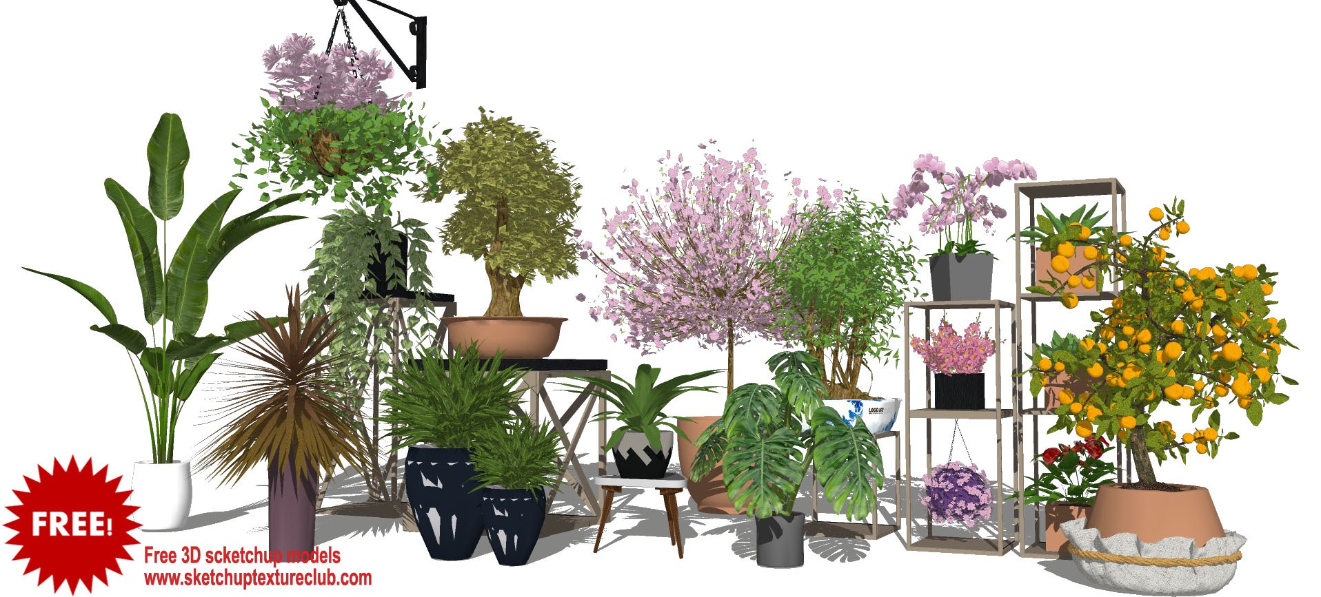 17 SketchUp 3D plants in pots collection #4