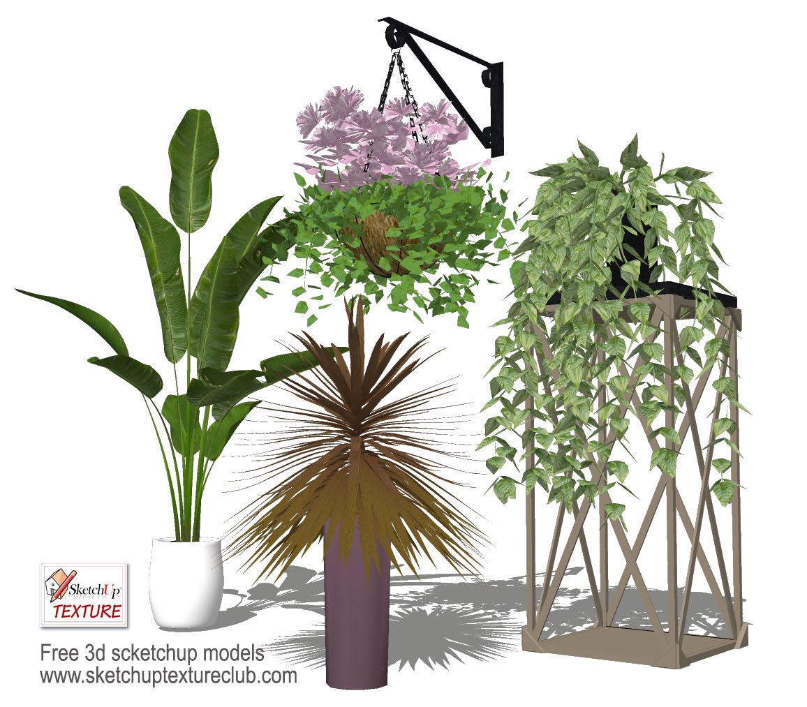 sketchup preview