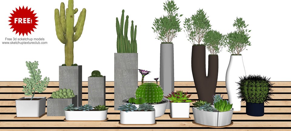 14 SketchUp 3D plants in pots - collection #2 | 14 SketchUp 3D plants in pots collection #2
