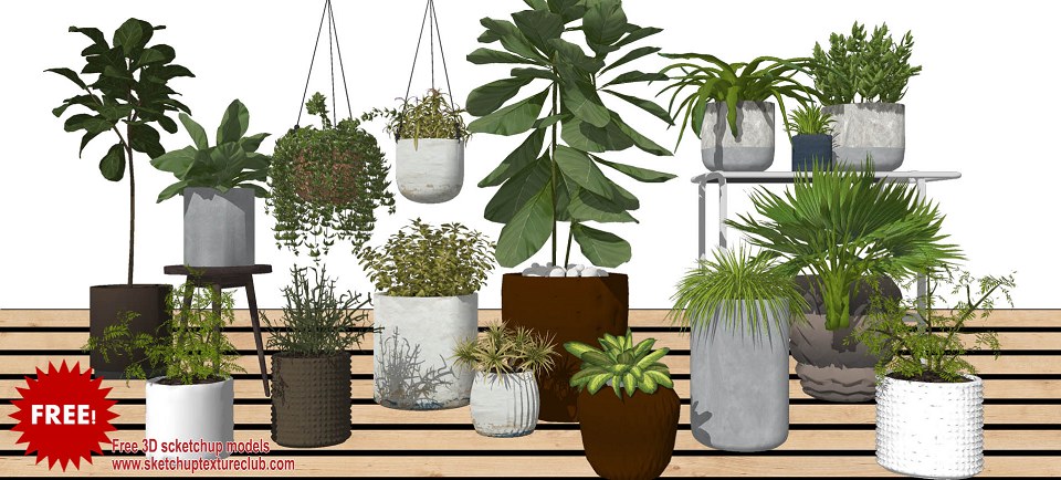 17 SketchUp 3D plants in pots collection #3 | 17 SketchUp 3D plants in pots collection #3