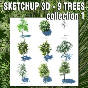 SKETCHUP 3D TREES collection 1