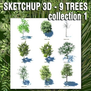 SKETCHUP 3D  TREES collection 1