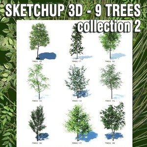3D Models   -  VEGETATION - SKETCHUP 3D TREES COLLECTION 2