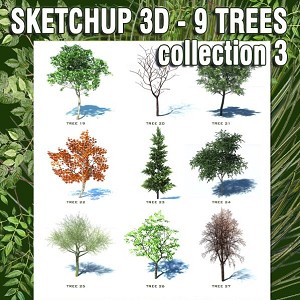 3D Models   -  VEGETATION - SKETCHUP 3D TREES COLLECTION 3