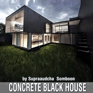 CONCRETE BLACK HOUSE