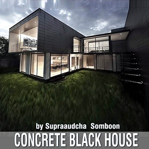 3D Models   -  HOUSES - VILLAS - CONCRETE BLACK HOUSE