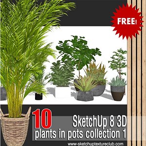 10 SketchUp 3D plants in pots - collection #1