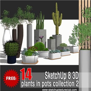 14 SketchUp 3D plants in pots - collection #2