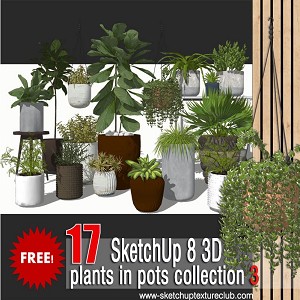 3D Models   -  VEGETATION - 17 SketchUp 3D plants in pots collection #3