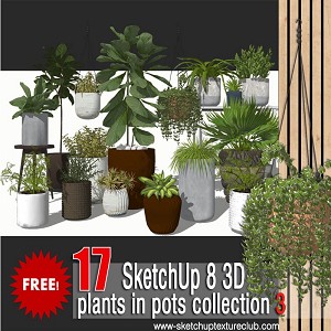 17 SketchUp 3D plants in pots collection #3