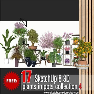 17 SketchUp 3D plants in pots collection #4