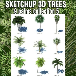 9 PALMS 3D COLLECTION