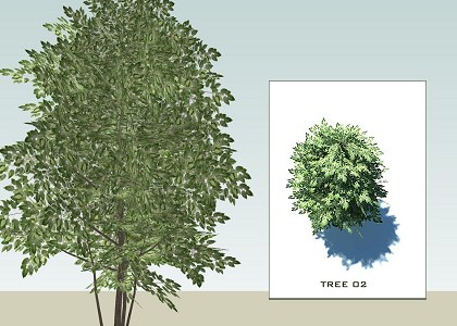 SKETCHUP 3D  TREES collection 1 | Sketchup 3D model trees collection 1