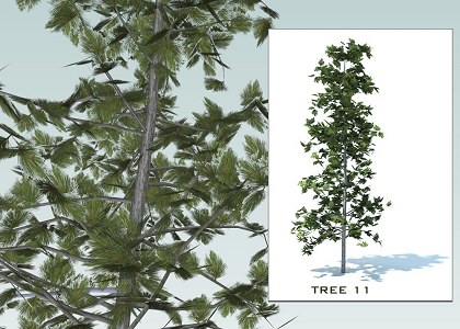 SKETCHUP 3D TREES COLLECTION 2 | 3d sketchup trees collection 2