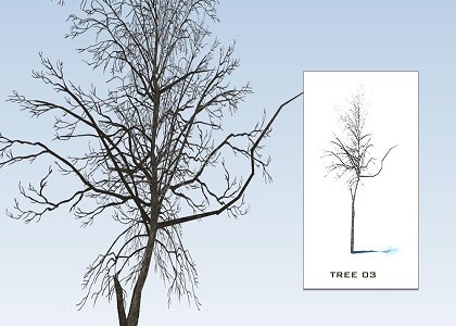 SKETCHUP 3D  TREES collection 1 | Sketchup 3D model trees collection 1