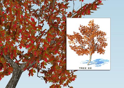 SKETCHUP 3D TREES COLLECTION 3