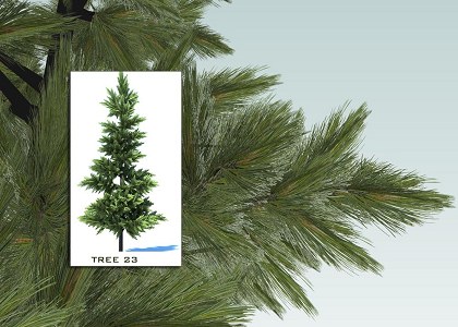 SKETCHUP 3D TREES COLLECTION 3