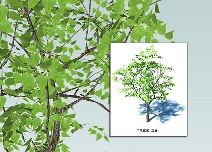 SKETCHUP 3D TREES COLLECTION 3