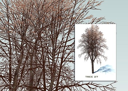 SKETCHUP 3D TREES COLLECTION 3