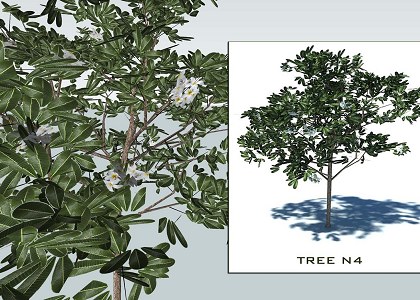 SMALL TREES 4 | 3D trees collection 4