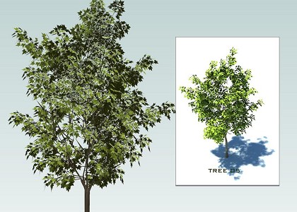 SKETCHUP 3D  TREES collection 1