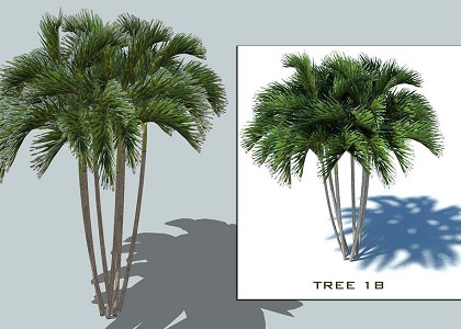 9 PALMS 3D COLLECTION