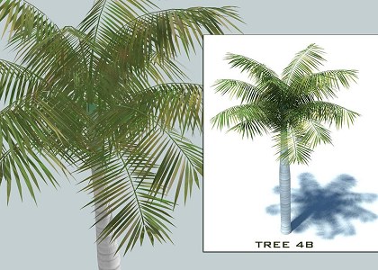 9 PALMS 3D COLLECTION | sketchup palms collection