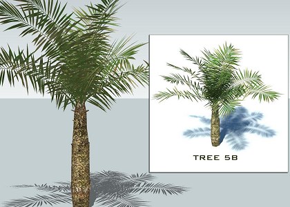 9 PALMS 3D COLLECTION | sketchup palms collection