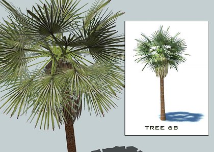 9 PALMS 3D COLLECTION | sketchup palms collection