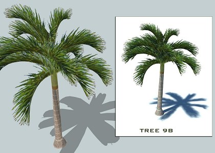 9 PALMS 3D COLLECTION | sketchup palms collection