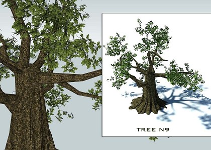 SMALL TREES 4